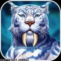 快速游戏安装服务